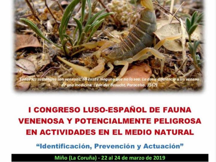 congreso1-751x1024