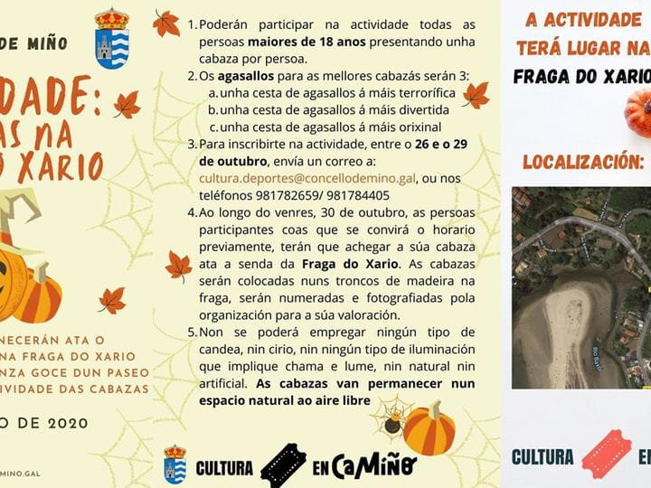 ACTIVIDADE DE CABAZAS NA FRAGA DO XARÍO