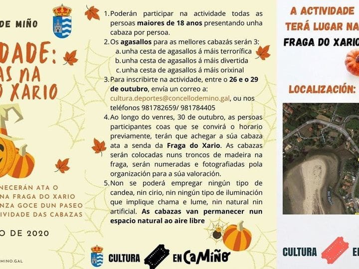ACTIVIDADE DE CALABAZAS EN LA FRAGA DO XARÍO