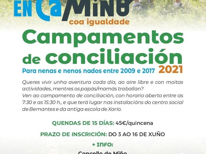 CAMPAMENTOS DE VERANO