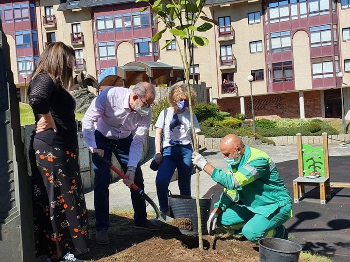 DÍA MUNDIAL DO MEDIO AMBIENTE - UNHA ÁRBORE POR EUROPA
