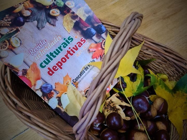 ACTIVIDADES MUNICIPALES CURSO 21-22