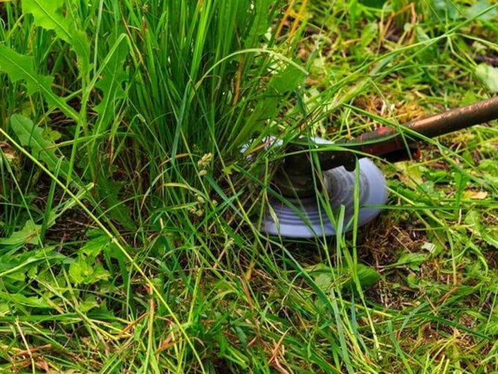 depositphotos-113551784-stock-photo-mowing-weeds-in-garden-to.jpg