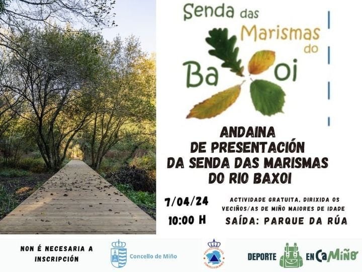 cartel-andaina.jpg