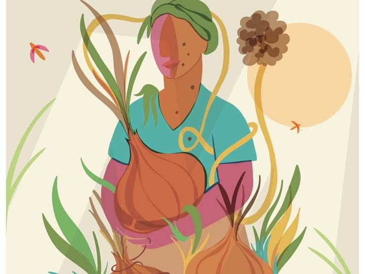 XXIV FEIRA DA CEBOLA CHATA DE MIÑO